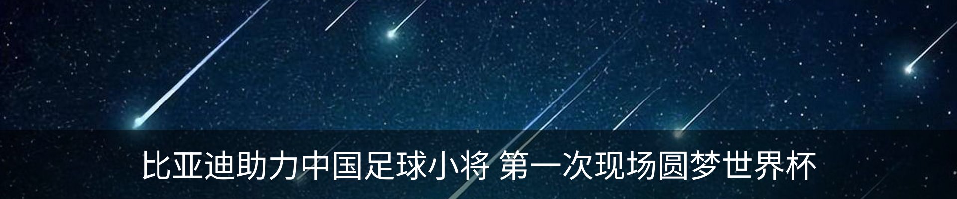 最新动态