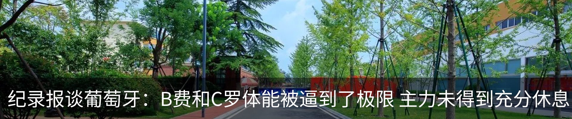 最新动态