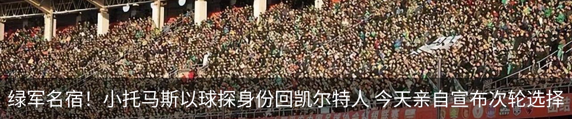 最新动态